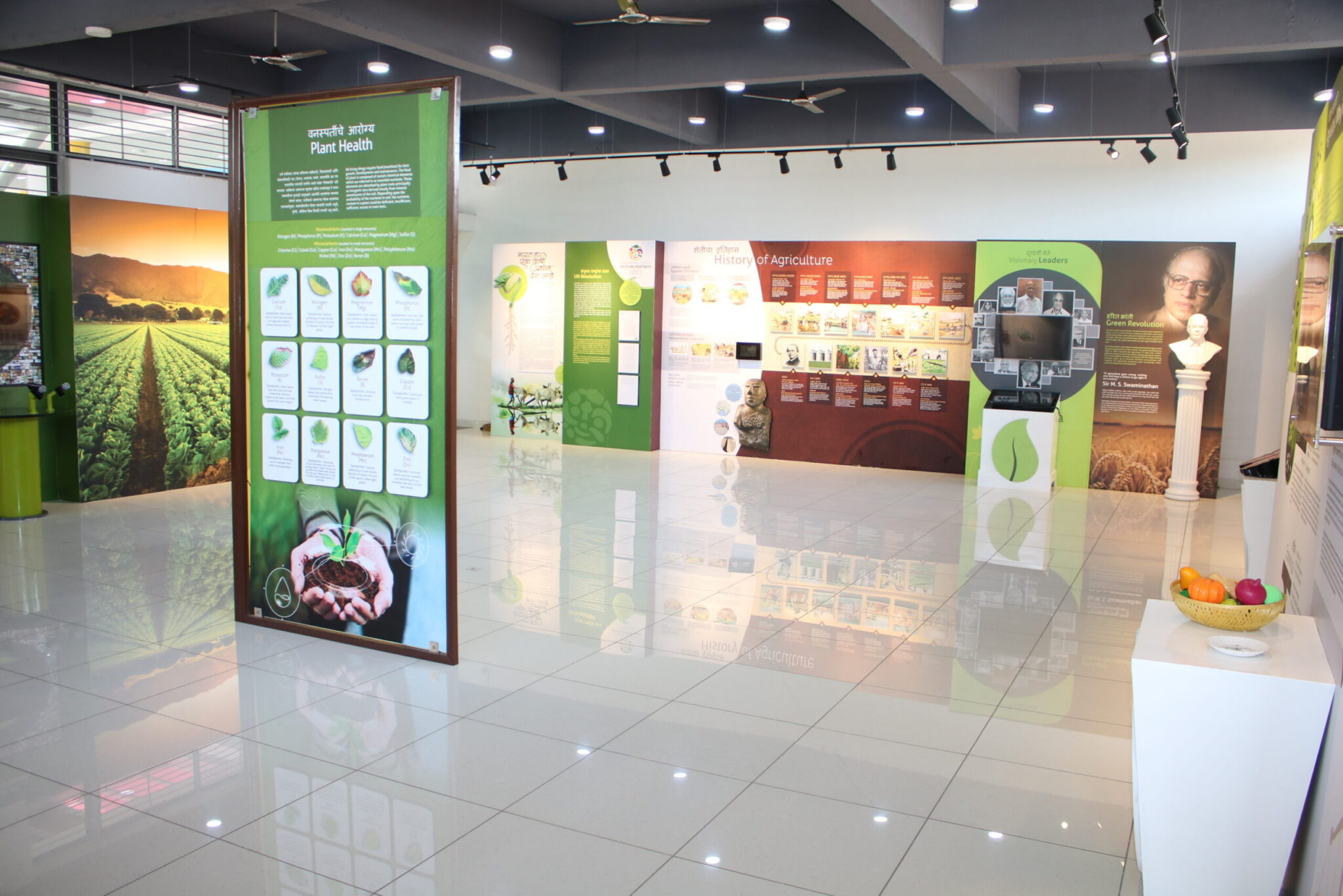 Multipurpose Hall